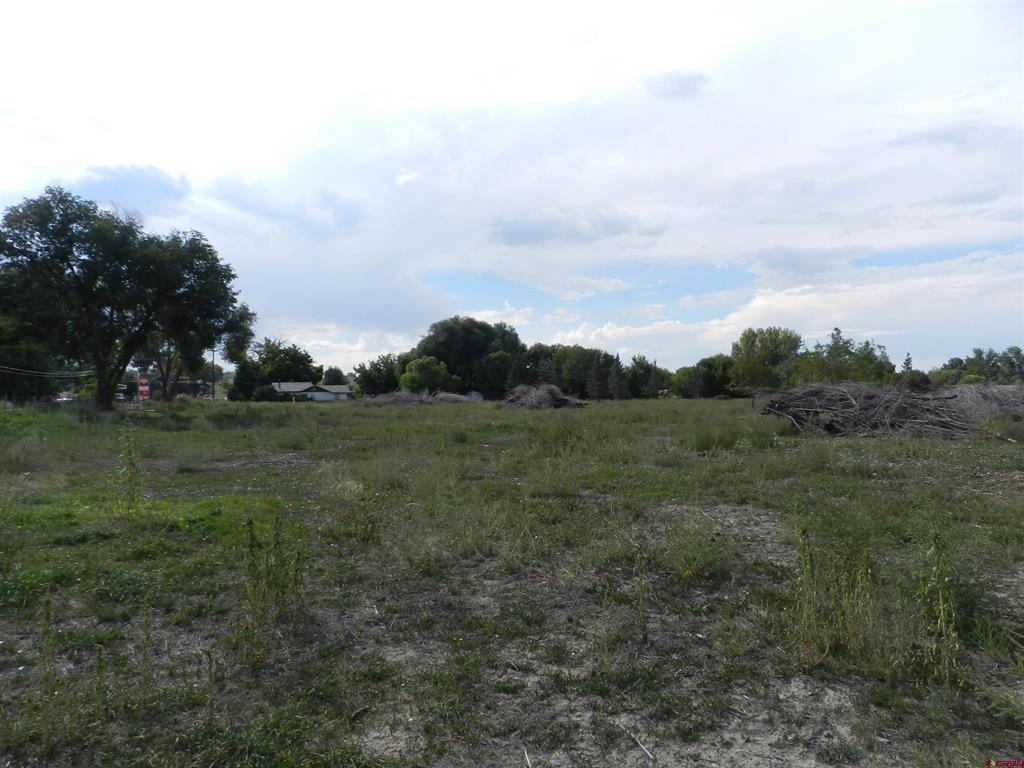 755 Spring Creek Road & 14750 Marine Road Montrose CO 81403