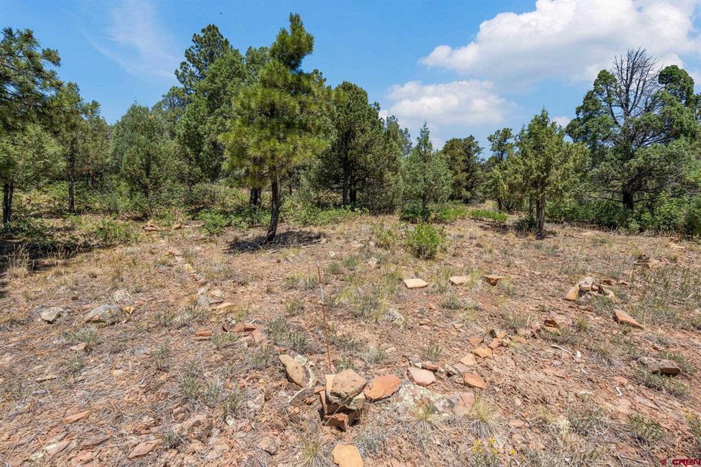 285 Logging Trail Road Durango CO 81303