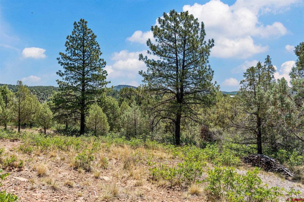 285 Logging Trail Road Durango CO 81303