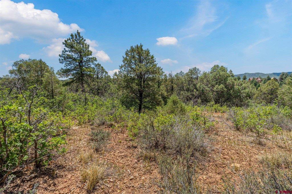 285 Logging Trail Road Durango CO 81303