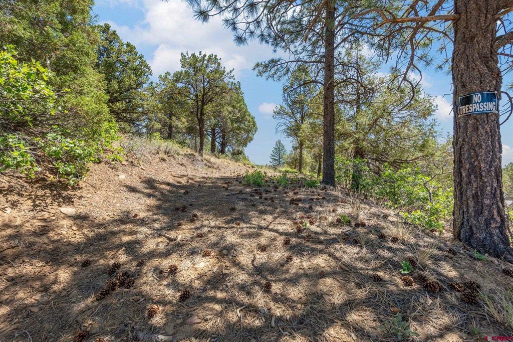 285 Logging Trail Road Durango CO 81303