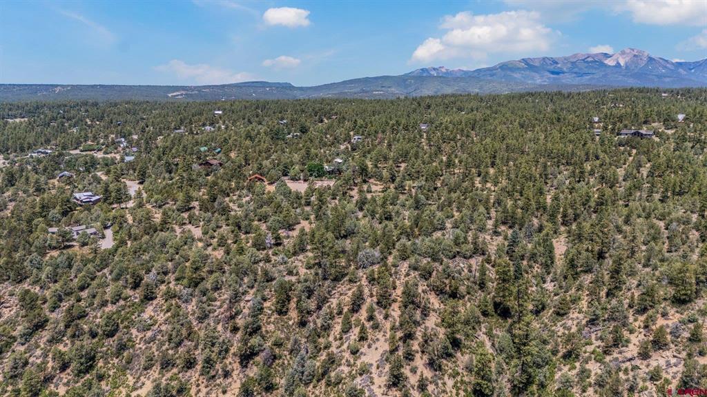 285 Logging Trail Road Durango CO 81303