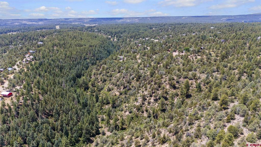 285 Logging Trail Road Durango CO 81303