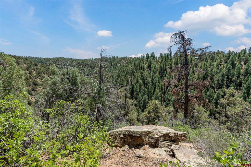 285 Logging Trail Road Durango CO 81303