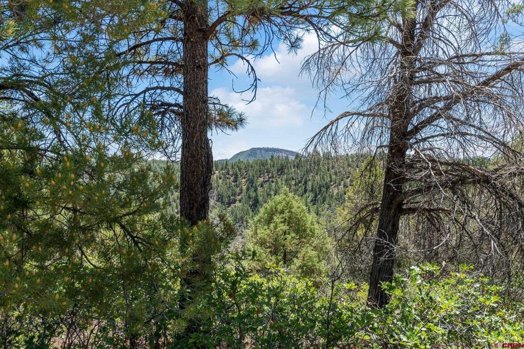 285 Logging Trail Road Durango CO 81303