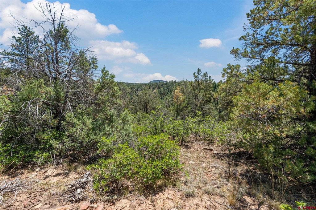 285 Logging Trail Road Durango CO 81303