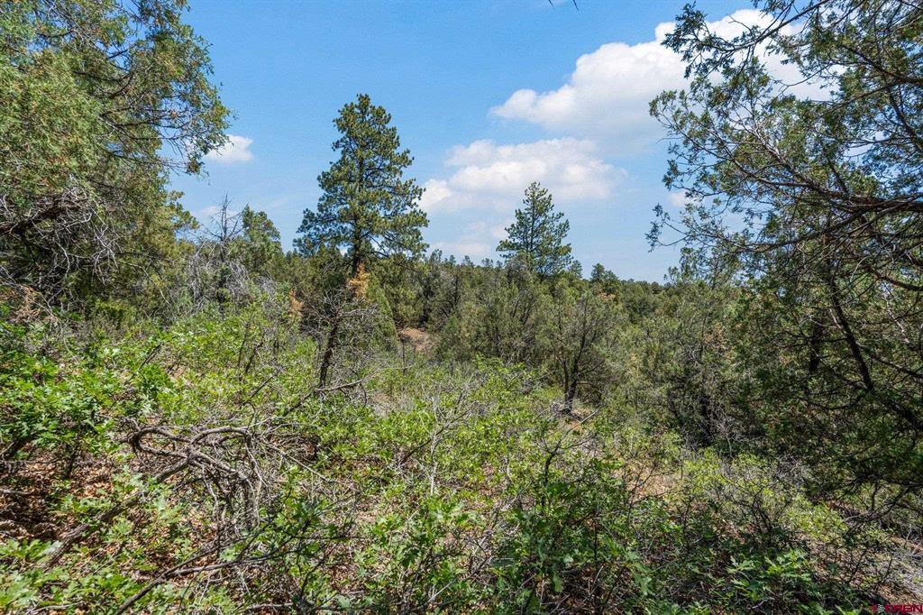 285 Logging Trail Road Durango CO 81303