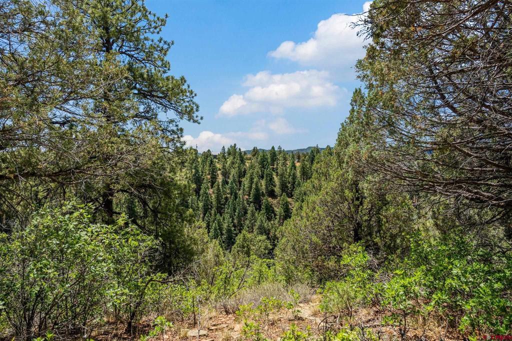 285 Logging Trail Road Durango CO 81303