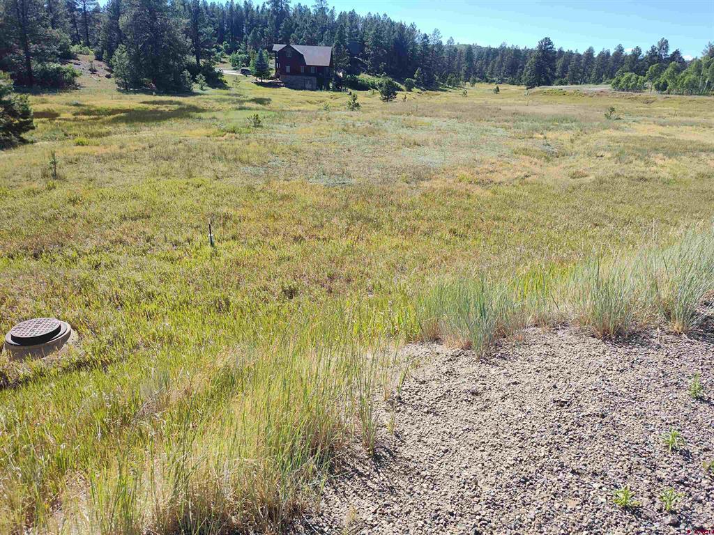 Pagosa Springs CO, 134 Santino