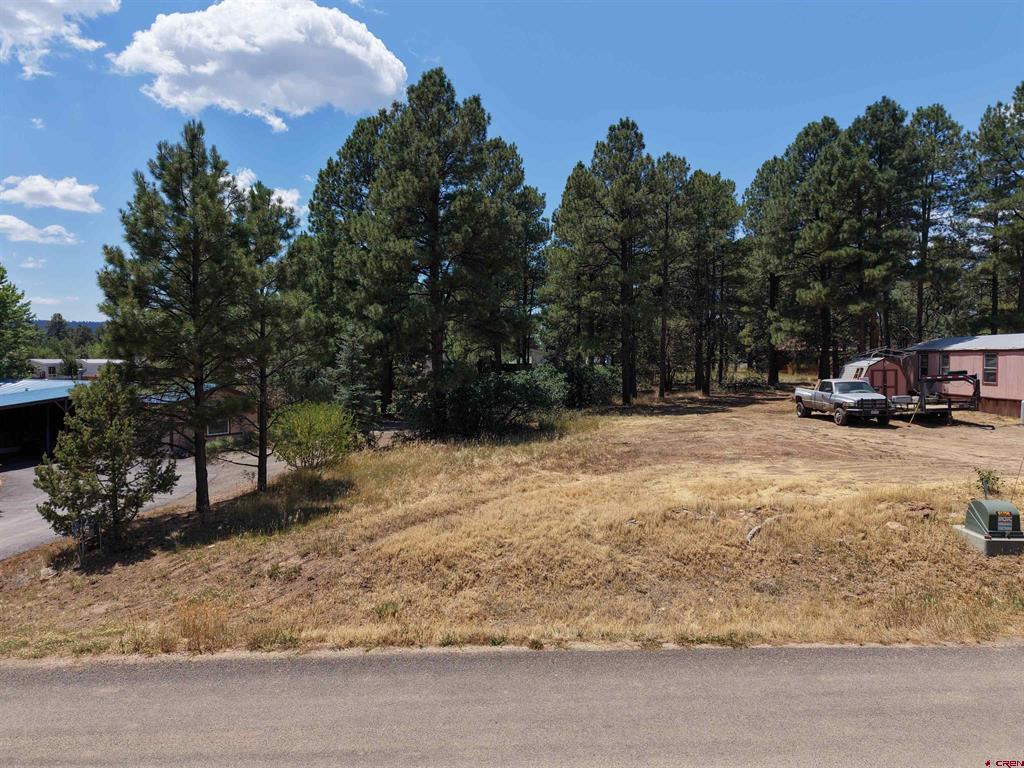 234 Fireside Street Pagosa Springs CO 81147