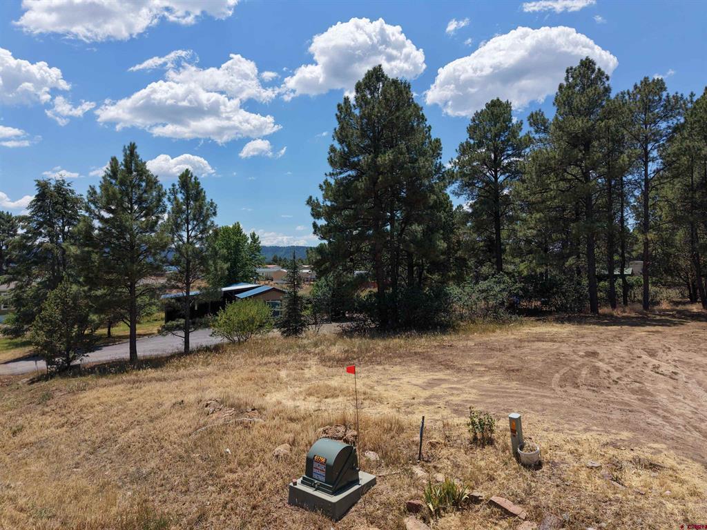234 Fireside Street Pagosa Springs CO 81147