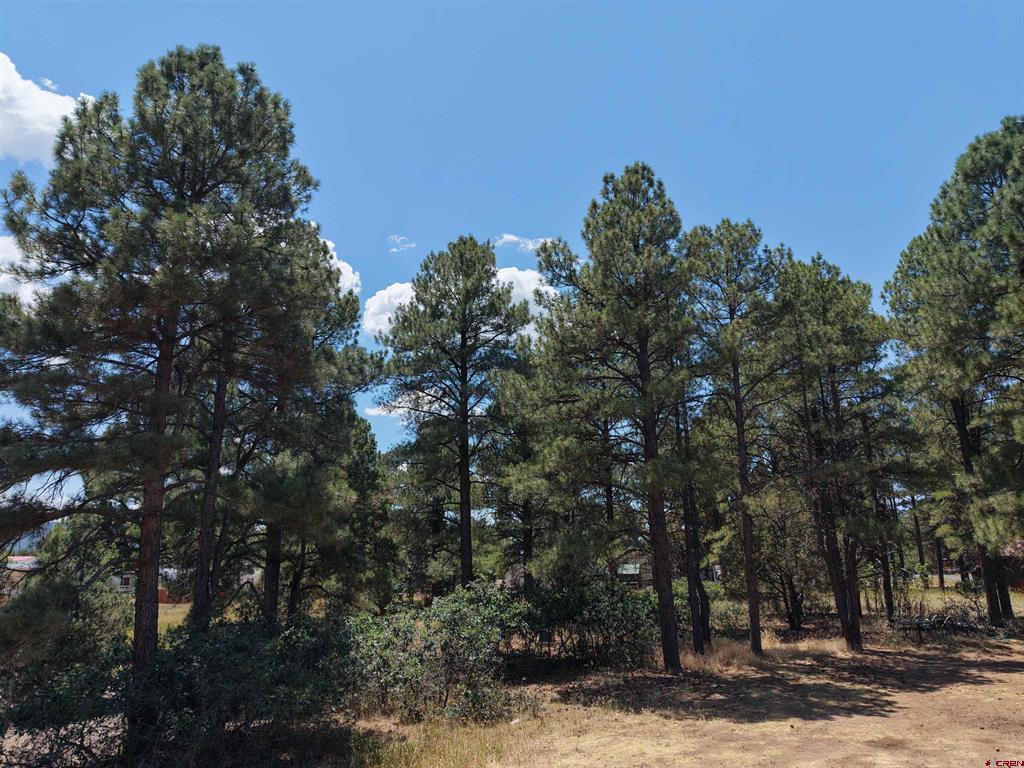 234 Fireside Street Pagosa Springs CO 81147