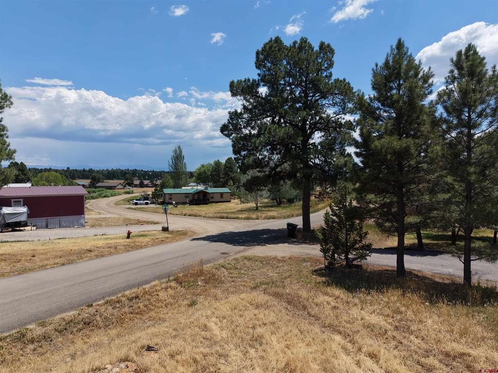234 Fireside Street Pagosa Springs CO 81147
