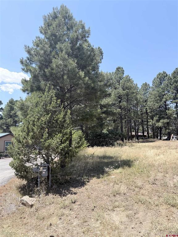 234 Fireside Street Pagosa Springs CO 81147