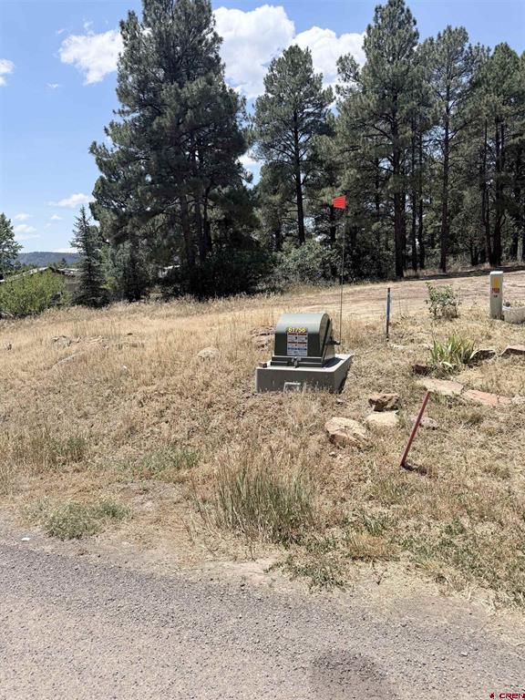 234 Fireside Street Pagosa Springs CO 81147