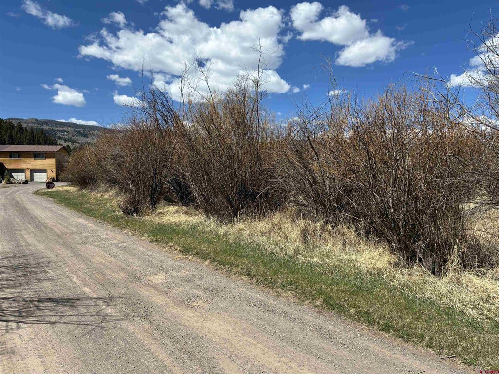 Lot 25&26 Cottonwood Drive Antonito CO 81120