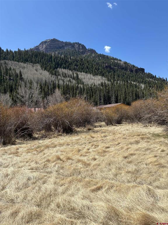 Lot 25&26 Cottonwood Drive Antonito CO 81120