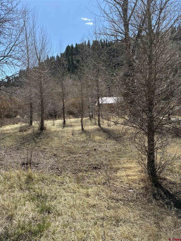 Lot 25&26 Cottonwood Drive Antonito CO 81120