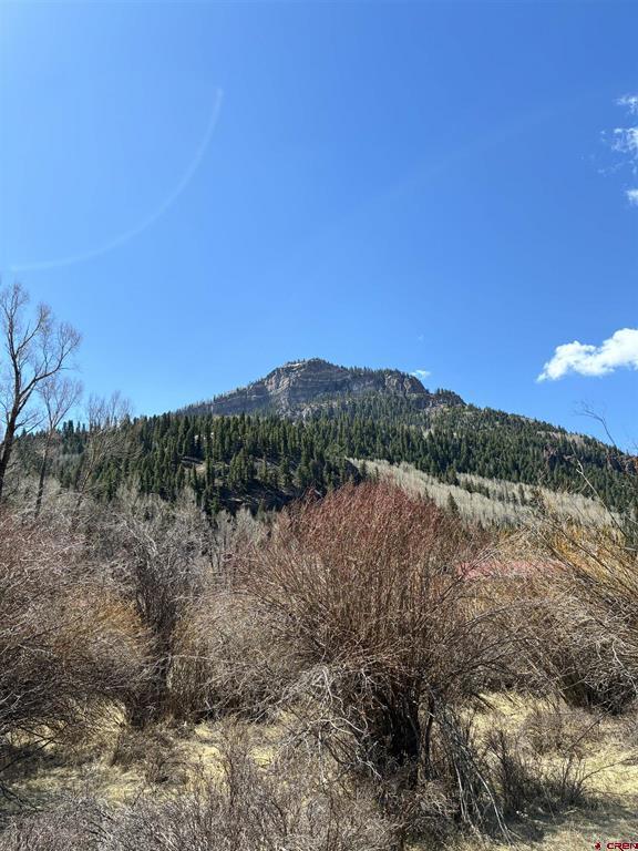 Lot 25&26 Cottonwood Drive Antonito CO 81120