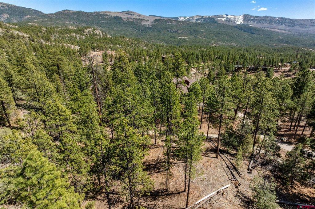 91 Ambush Canyon Durango CO 81301