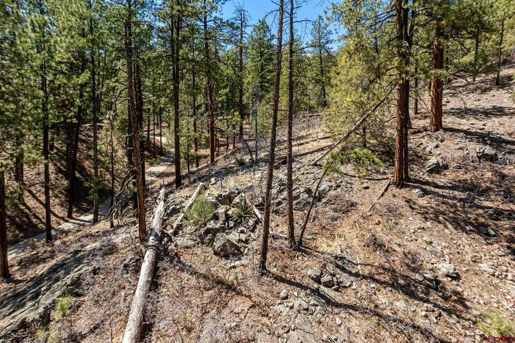 91 Ambush Canyon Durango CO 81301