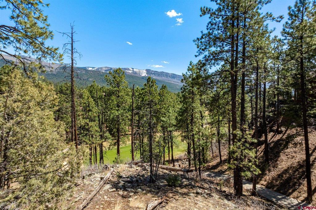91 Ambush Canyon Durango CO 81301