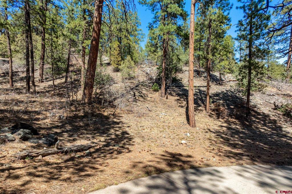 91 Ambush Canyon Durango CO 81301