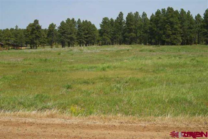 1288 Antelope Avenue Pagosa Springs CO 81147