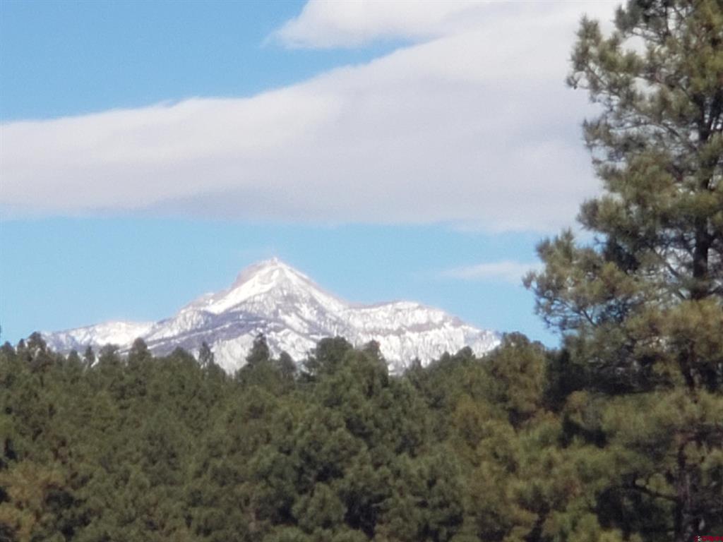 1288 Antelope Avenue Pagosa Springs CO 81147