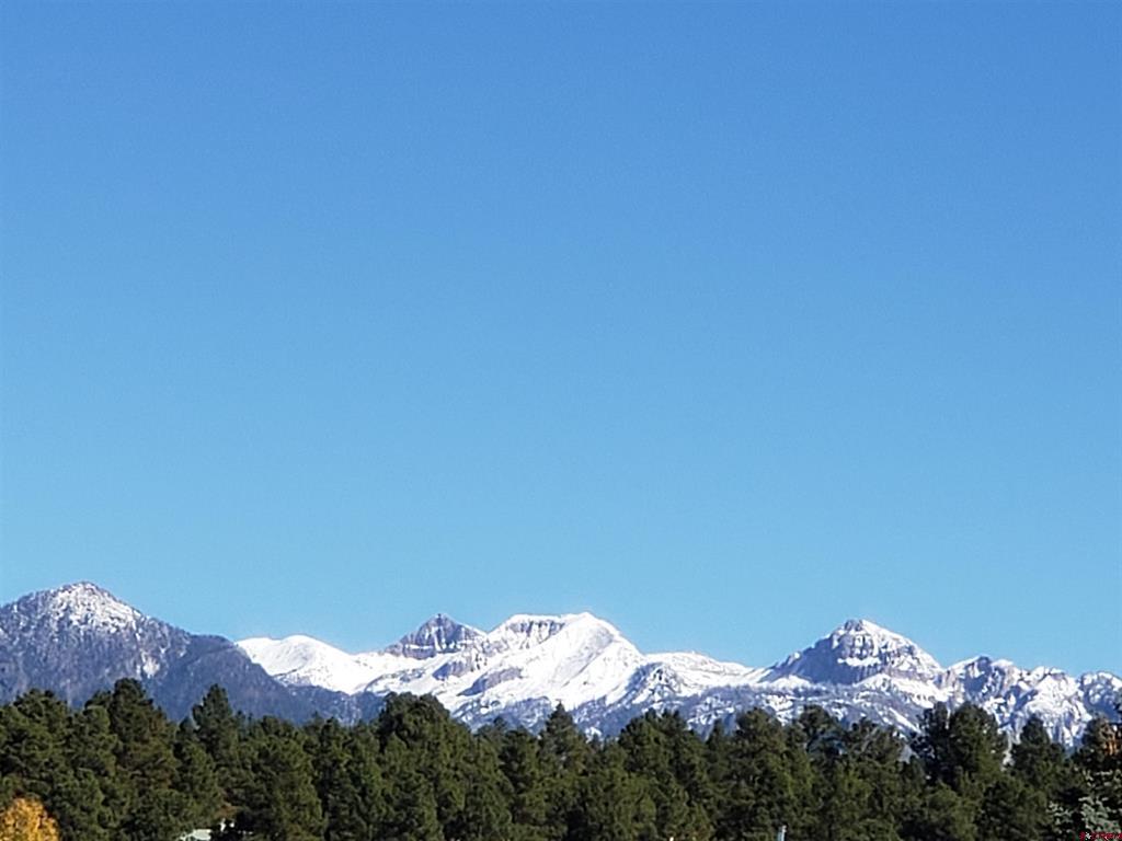 1288 Antelope Avenue Pagosa Springs CO 81147