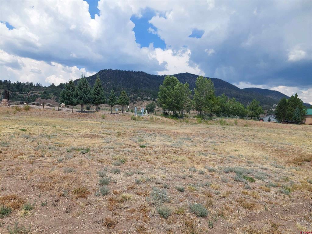 91 S Alder Creek Lane South Fork CO 81154