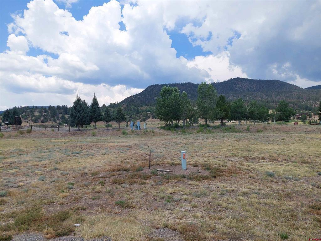 91 S Alder Creek Lane South Fork CO 81154