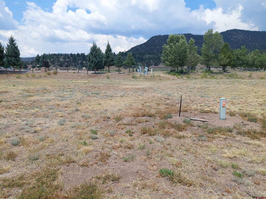 91 S Alder Creek Lane South Fork CO 81154
