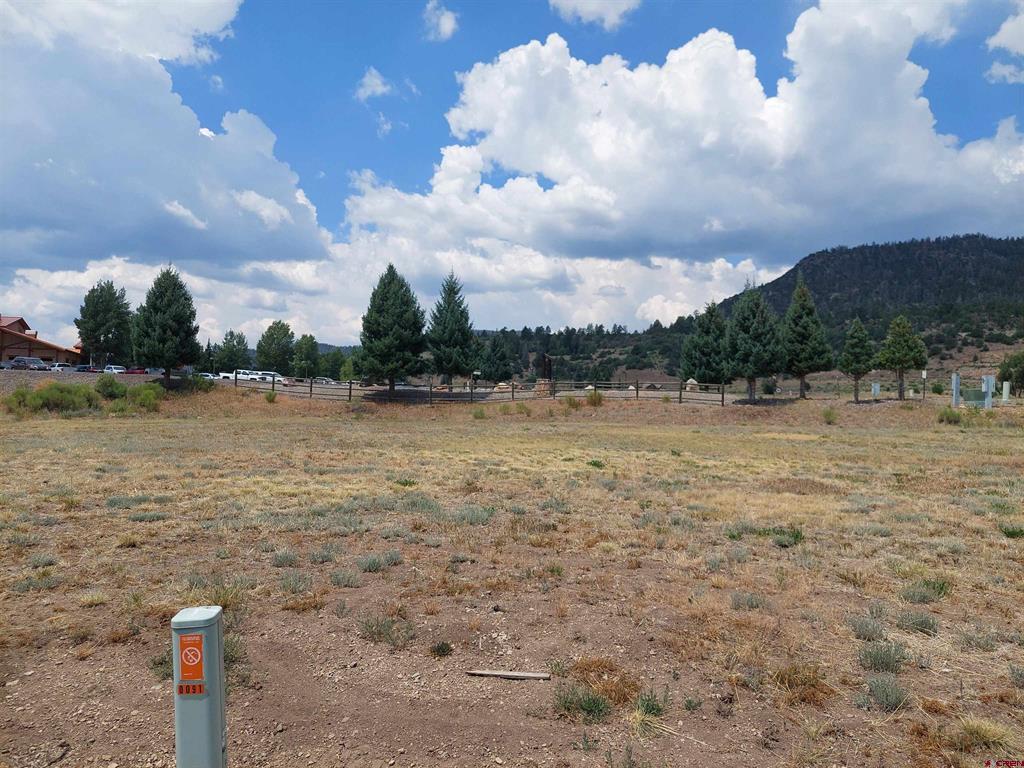 91 S Alder Creek Lane South Fork CO 81154