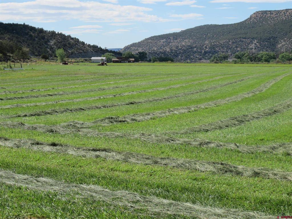 Tbd Lot 1 Road G Cortez CO 81321