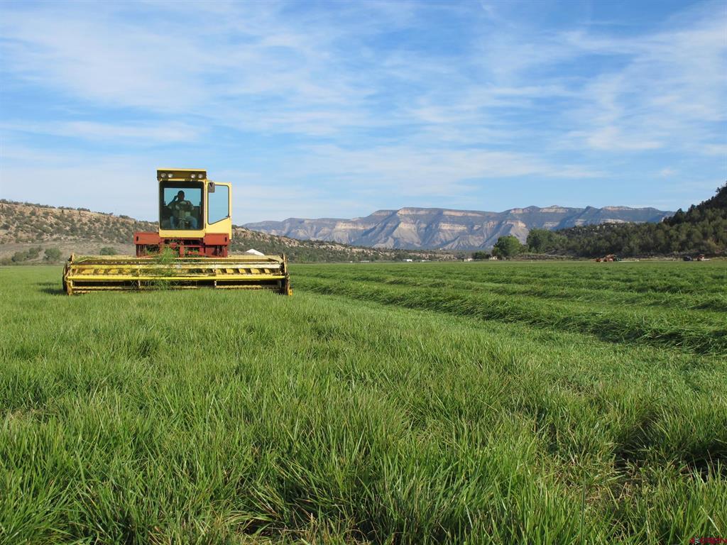 Tbd Lot 1 Road G Cortez CO 81321