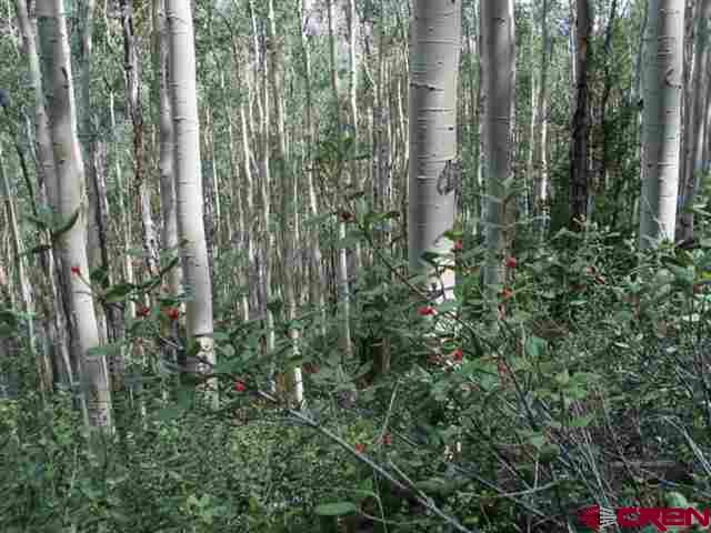 Tbd N Henson Creek Road Lake City CO 81235