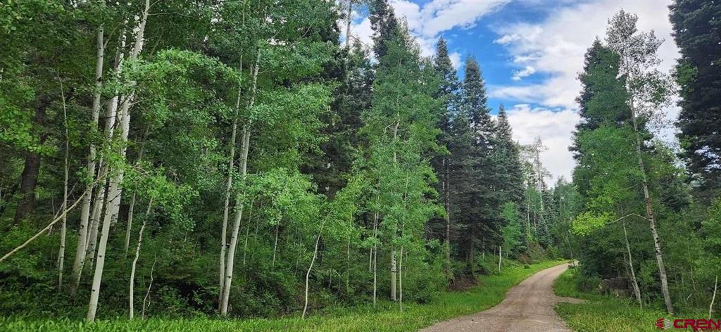 454 Mccoy Creek Durango CO 81301