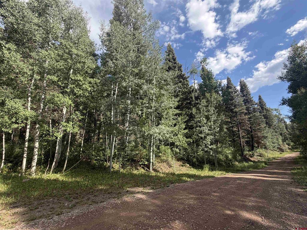 454 Mccoy Creek Durango CO 81301