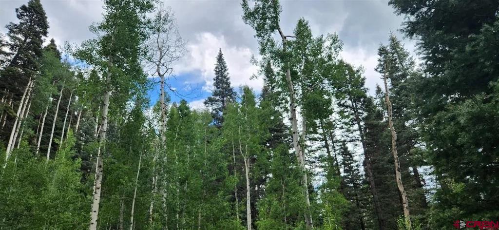454 Mccoy Creek Durango CO 81301