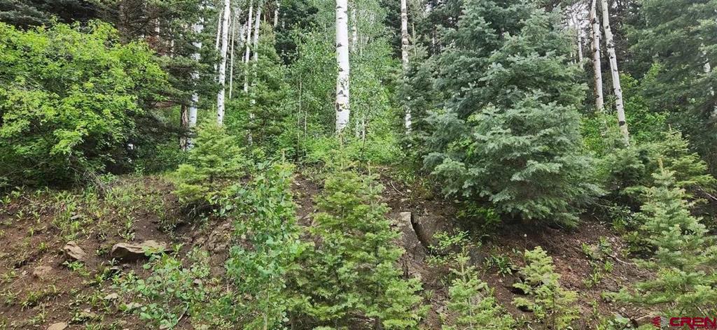 454 Mccoy Creek Durango CO 81301