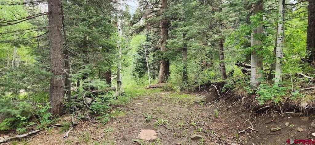 454 Mccoy Creek Durango CO 81301