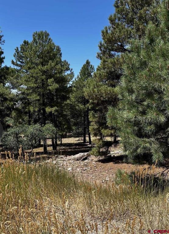 124 Woodridge Circle Pagosa Springs CO 81147