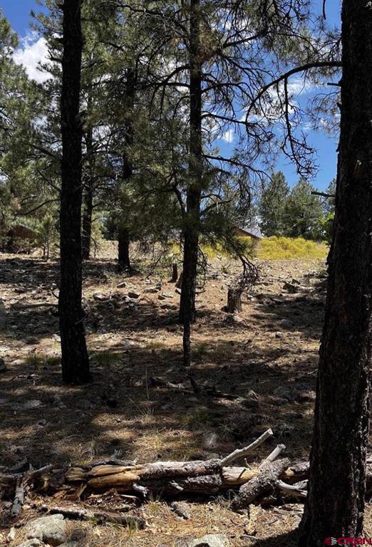 124 Woodridge Circle Pagosa Springs CO 81147