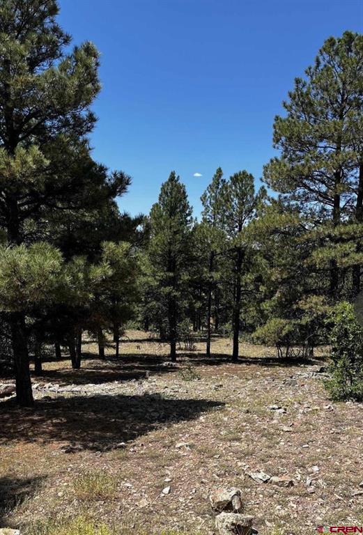 124 Woodridge Circle Pagosa Springs CO 81147
