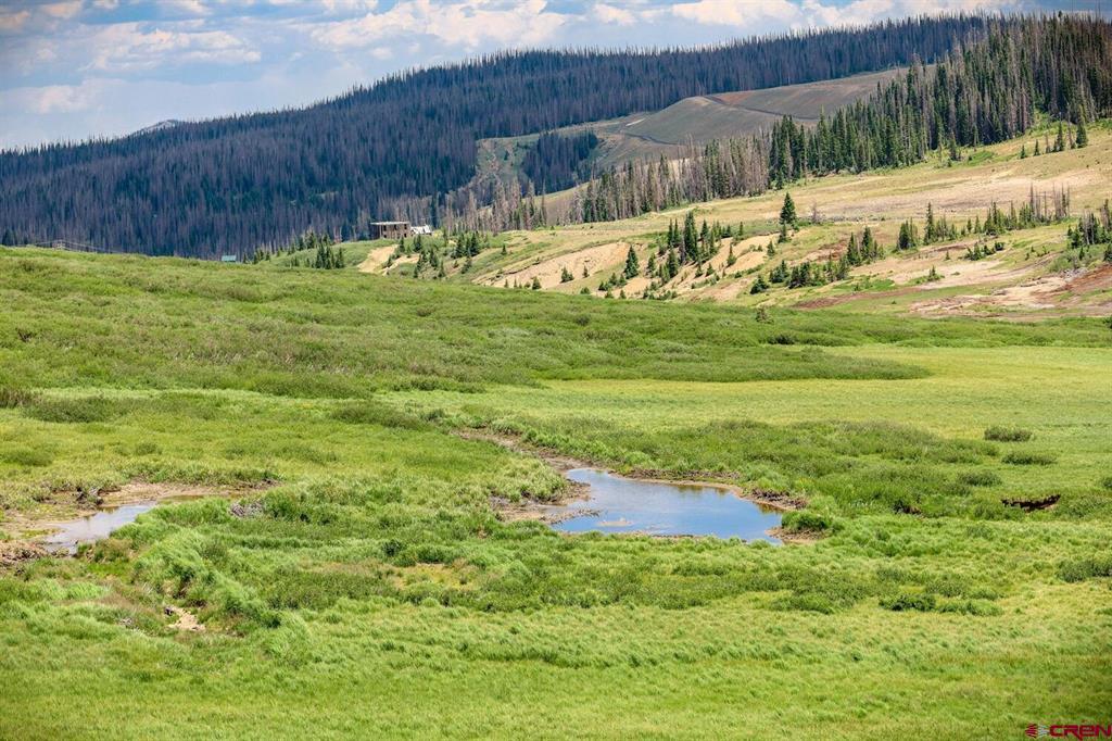 Lot 2 Forest Service Road 330 South Fork CO 81154