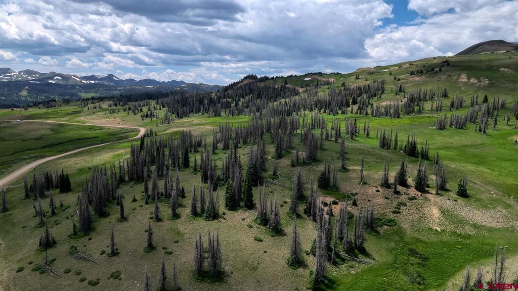 Lot 2 Forest Service Road 330 South Fork CO 81154