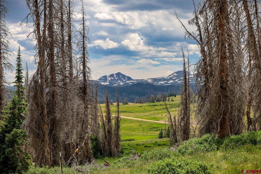 Lot 2 Forest Service Road 330 South Fork CO 81154