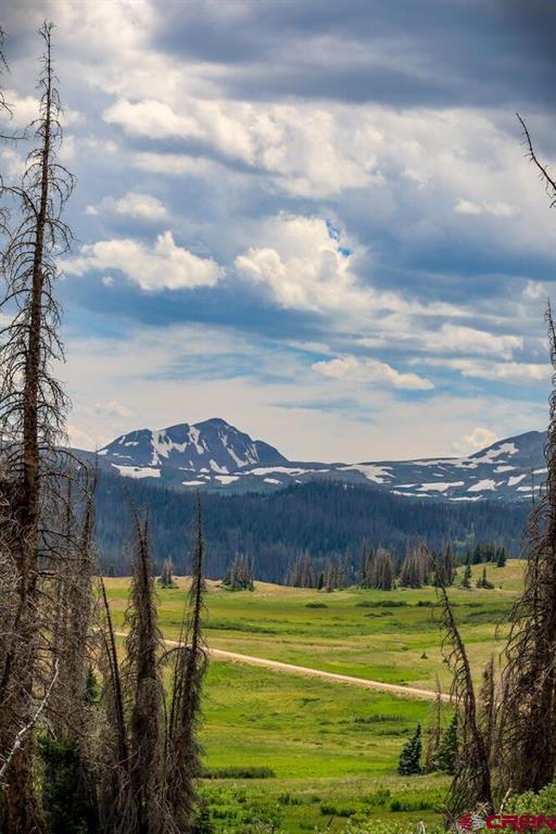 Lot 2 Forest Service Road 330 South Fork CO 81154