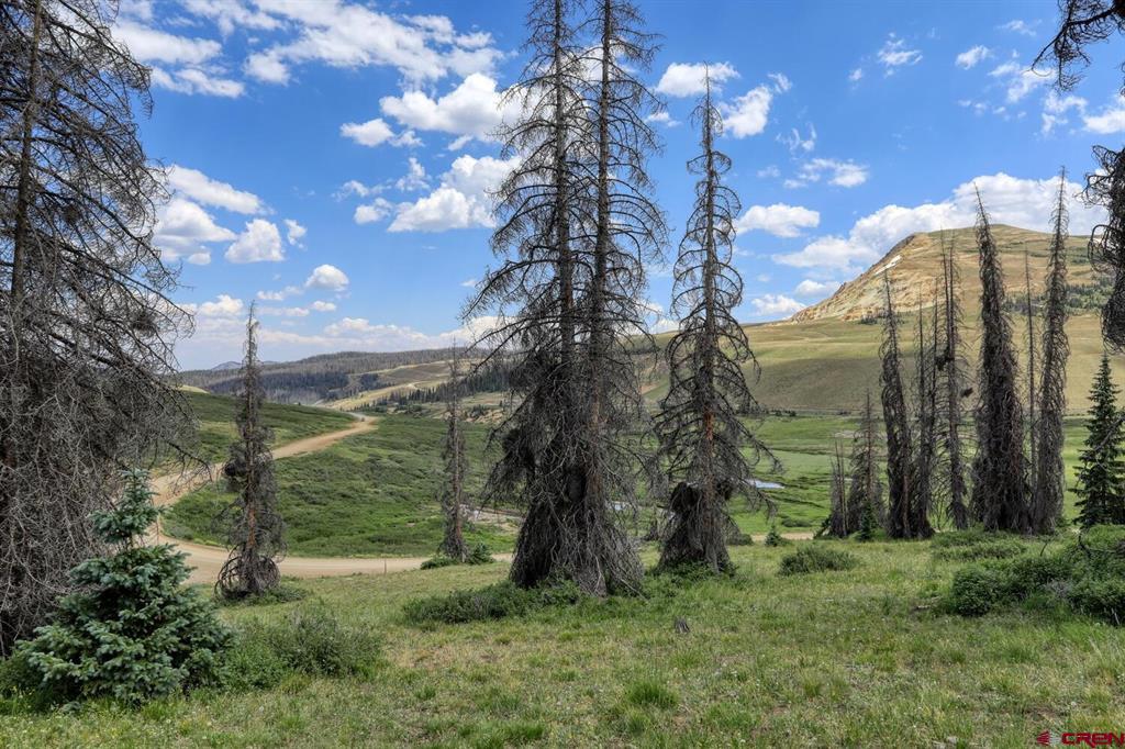 Lot 2 Forest Service Road 330 South Fork CO 81154
